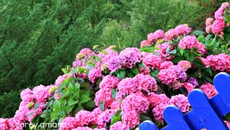 Colorful ireland Colorful ireland