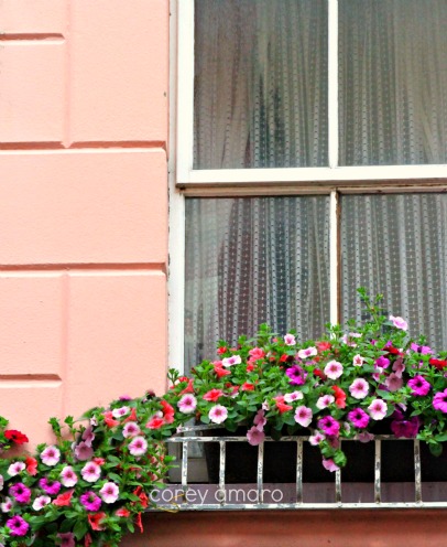 Lace, flower box, ireland Lace, flower box, ireland