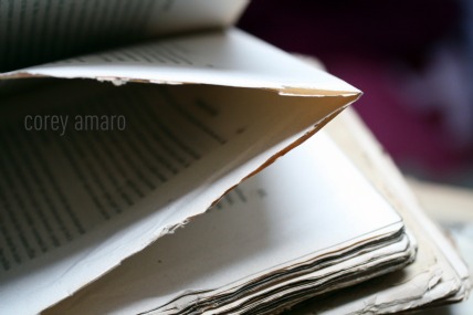 Un-cut-book-pages old book