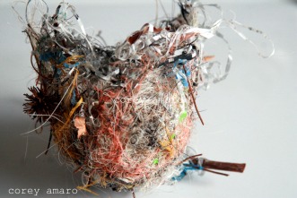 Colorful nest Colorful nest