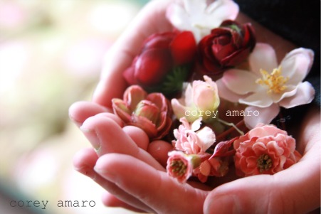 Handful of flowers