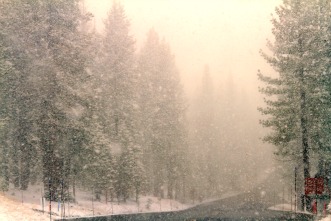 Snowy road to the wedding Snowy road to the wedding