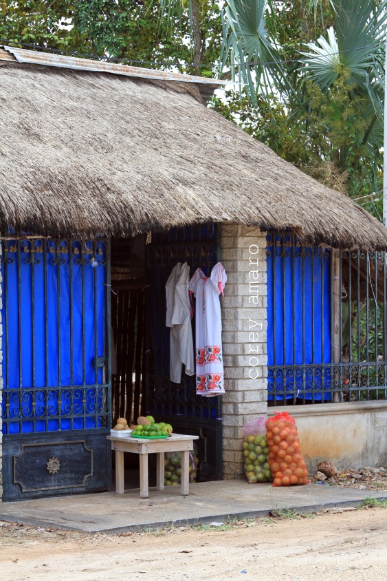 Blue shutters merida