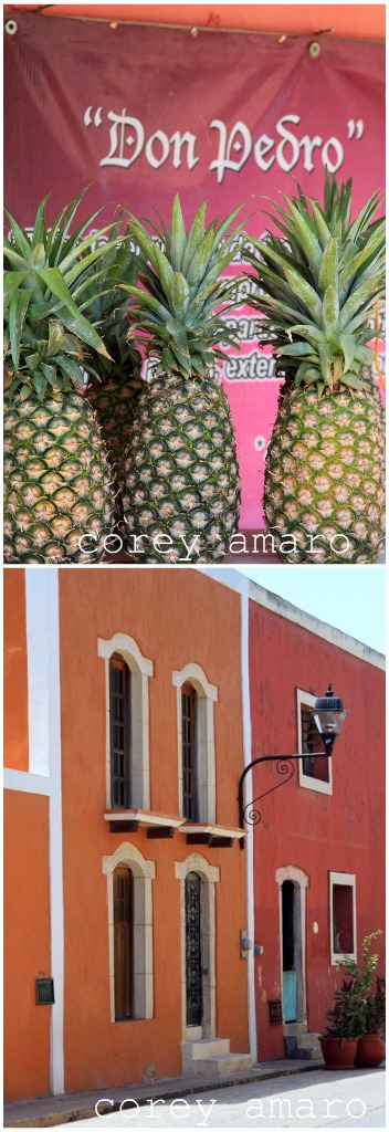 Burnt orange and pineapples merida