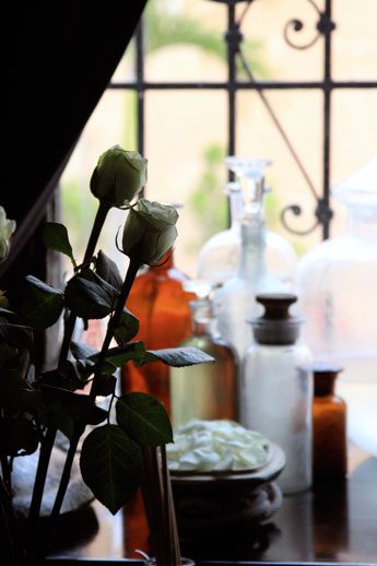 Coqui-coqui-tulum Coqui-coqui-tulum