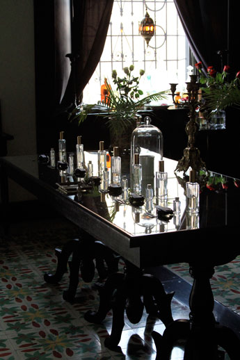 Perfume-coqui-coqui Perfume-coqui-coqui