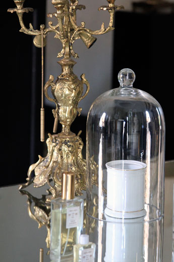 Coqui-coqui-pure-scent Coqui-coqui-pure-scent