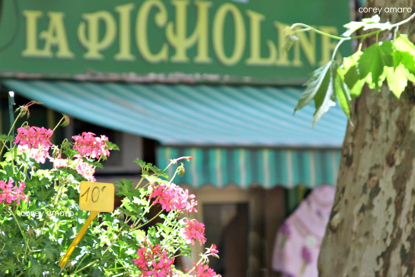 Aix en provence flower market