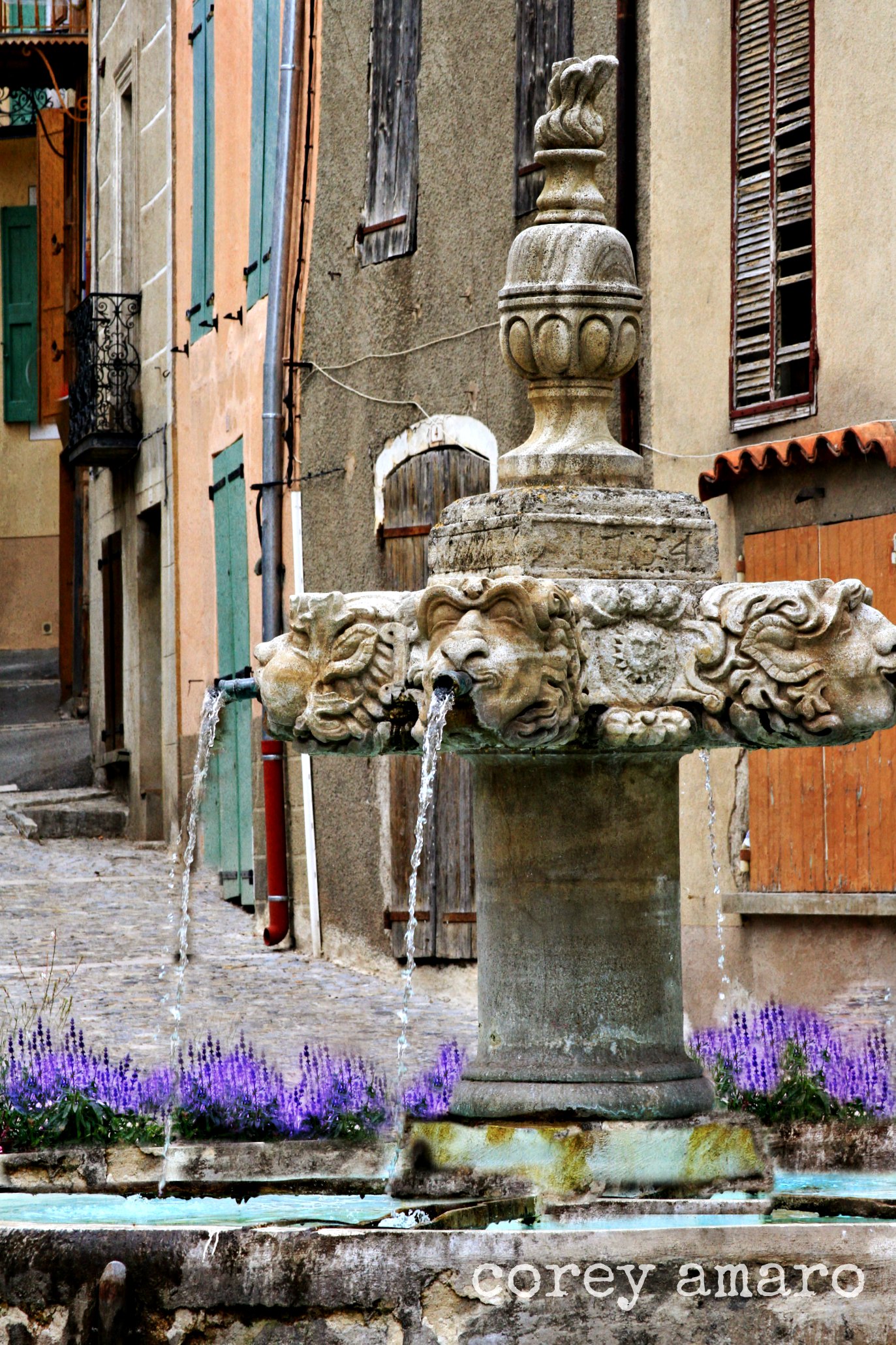 Valensole village lavender provence