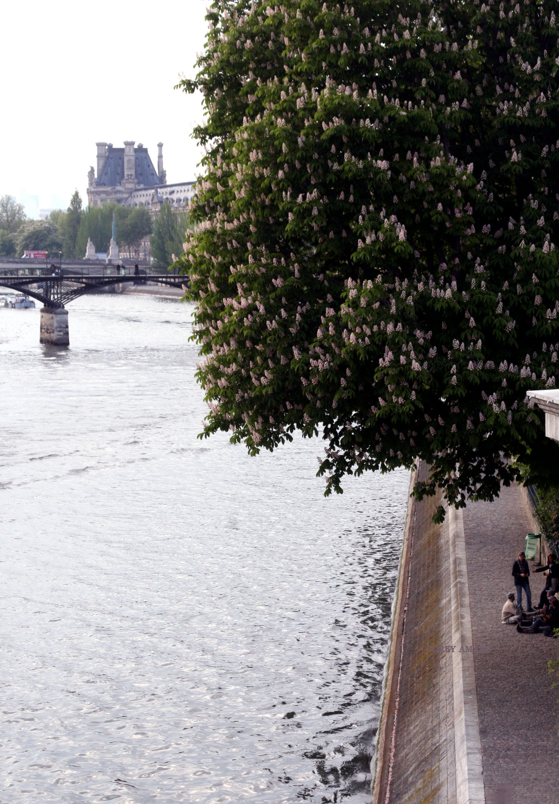 Seine-river-Paris