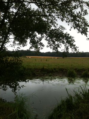 What to Wear to the Brocante