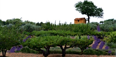 Peek into Provence Peek into Provence