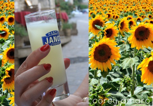 Provence and pastis Provence and pastis