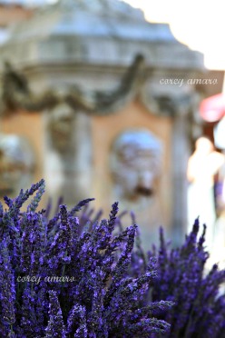 French, Provence, Lavender, Market