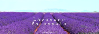 Lavender, France