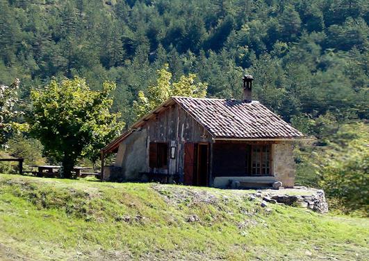 French cabin-lavender 