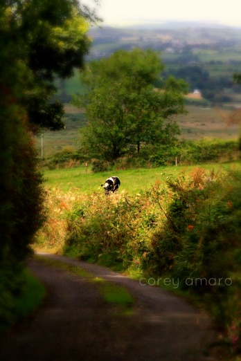 Boreens,back roads,ireland