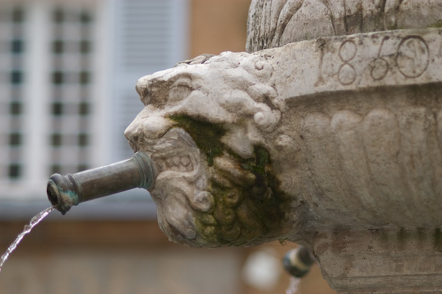 Fountain , Cotignac, Denise