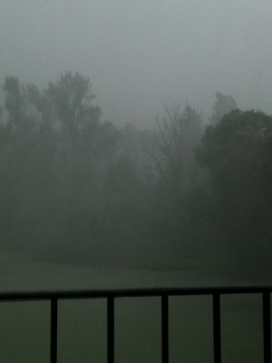 Truffle, Souffle, Furious Rain