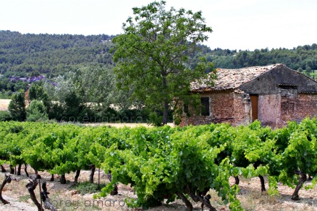 Saint saturin provence france Saint saturin provence france