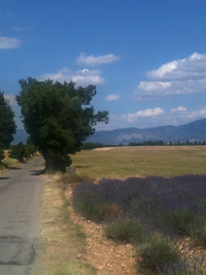 Route of the French Lavender