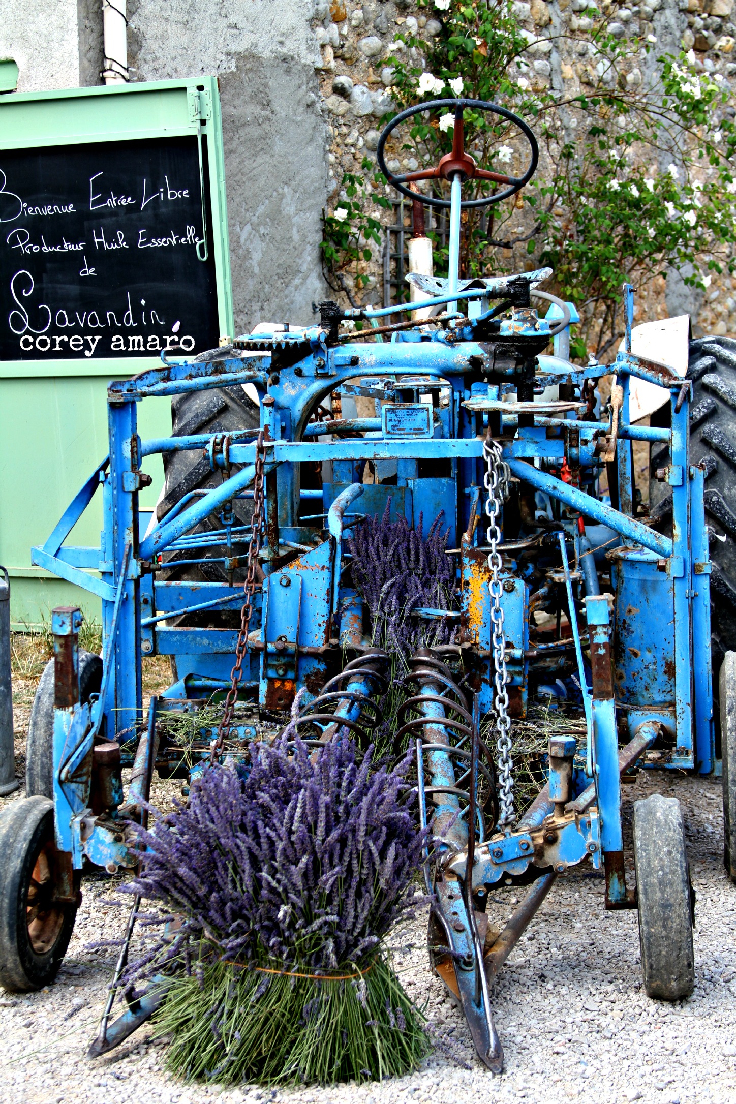 Lavender cutting tractor