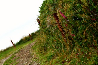 Boreens,backroads,ireland