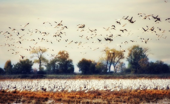 What fuels your soul What fuels your soul