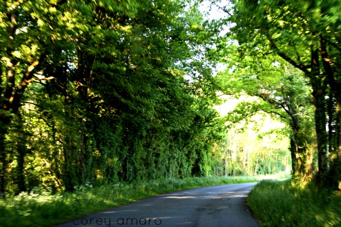 Green passage ways in France Green passage ways in France