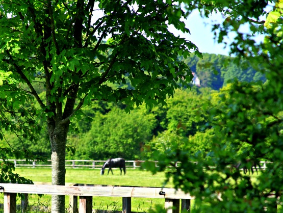 French country side outside of Paris