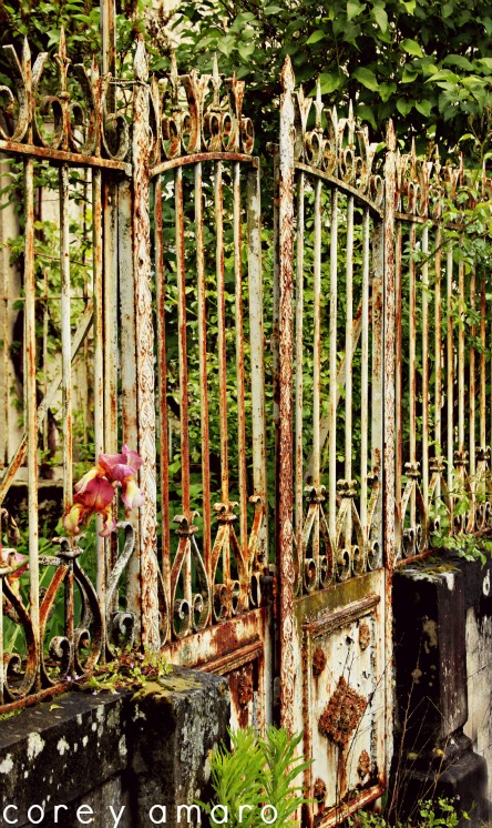Secret garden iron fence