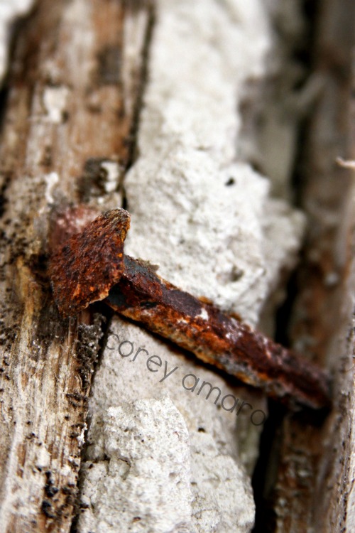 Antique nail Antique nail