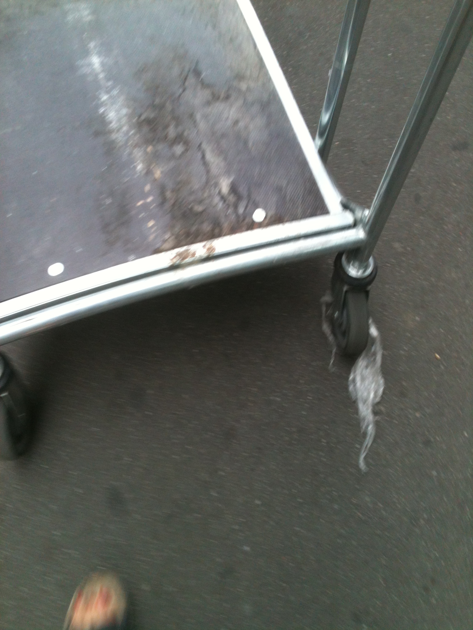 2013-08-07 16.49.40 2013-08-07 16.49.40