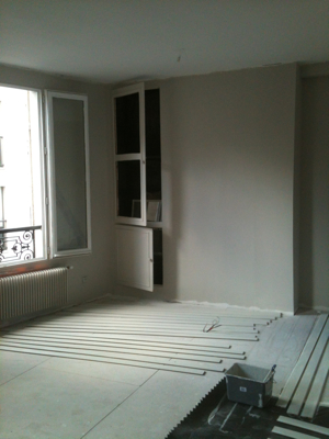 The Paris Apartment Renovation