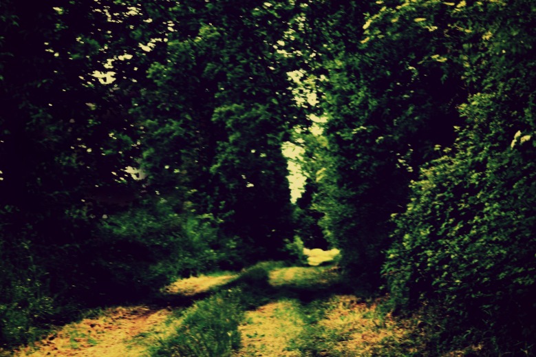 France driving the backroads