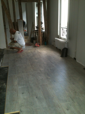 The Paris Apartment Renovation