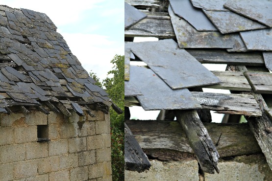 Patchy roof 