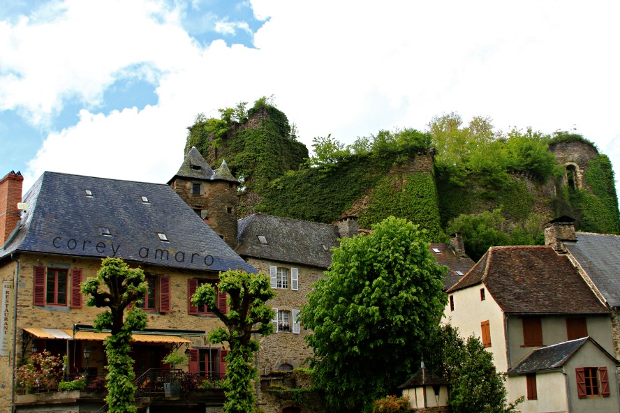 Castle in the background
