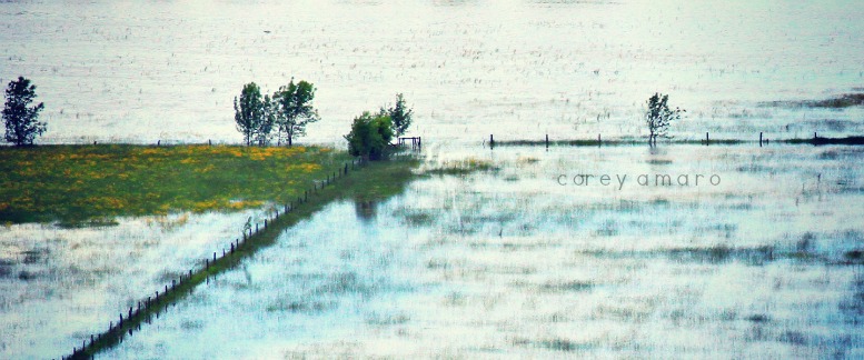 Flood along the river, into the fields