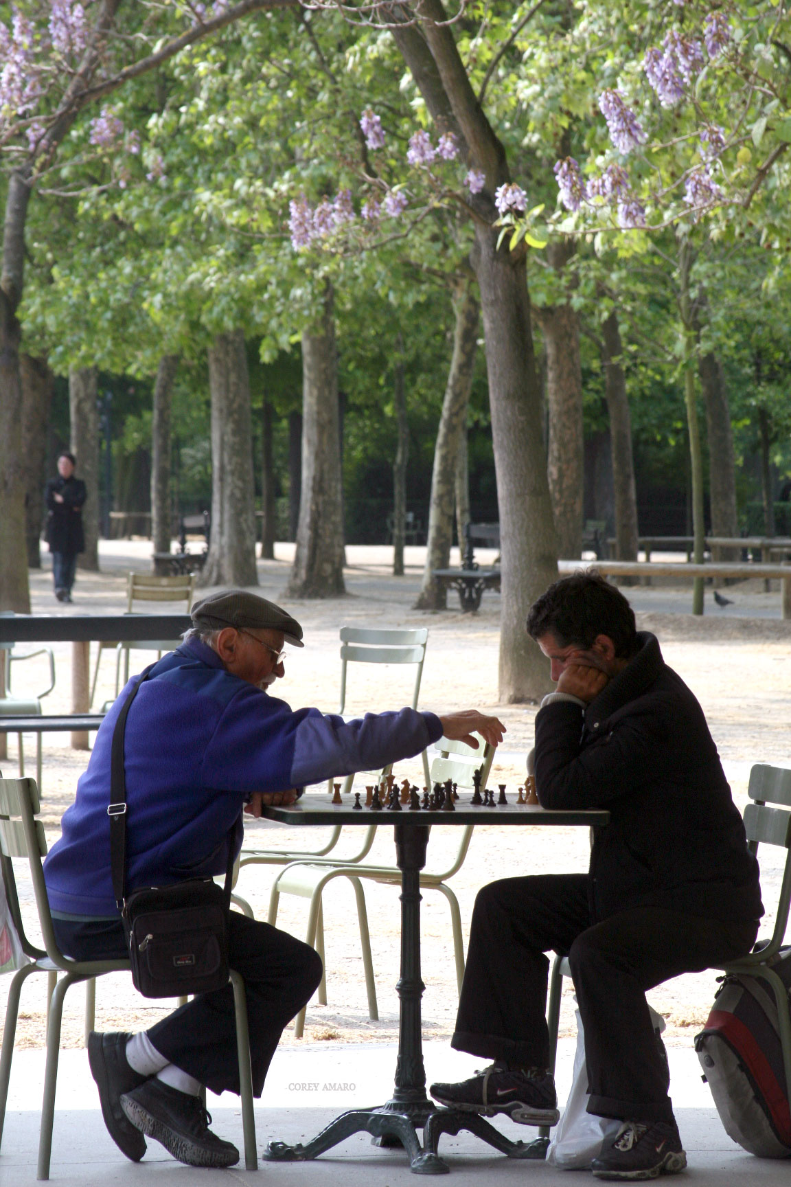 Paris-chess-in-the-park