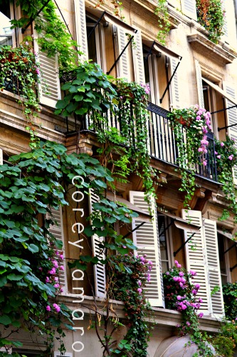 Paris enchanted garden facade Paris enchanted garden facade