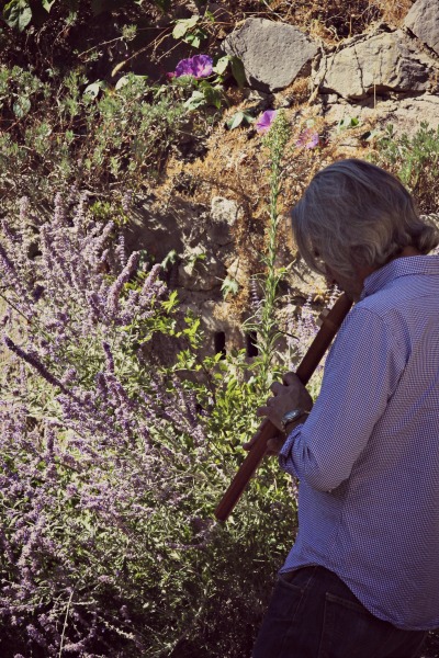 Flute in provence