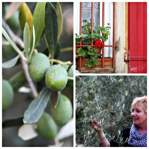 Provence France, French happiness