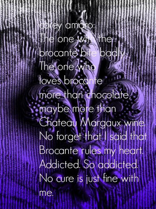 French brocante bug corey amaro