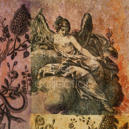 Corey amaro paper collection x