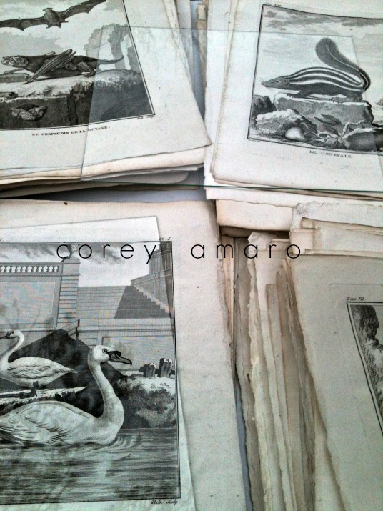 French papers, documents, antique engravings