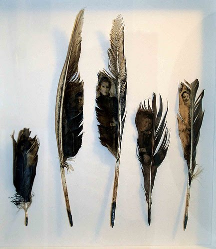 Louise richardson wings