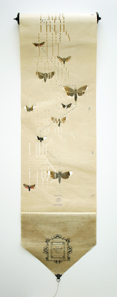 Louise richardson butterfly music