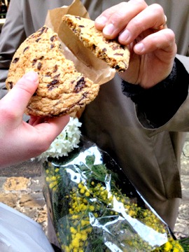 Sharing a French chocolate chip cookie