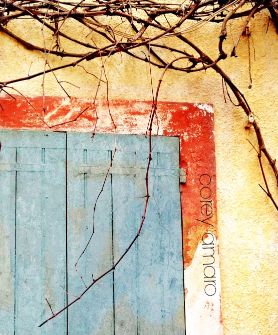 Provence local color